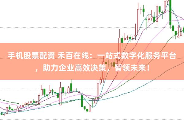 手机股票配资 禾百在线：一站式数字化服务平台，助力企业高效决策，智领未来！