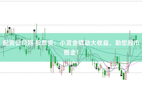 配资公司网 股票资：小资金撬动大收益，助您股市掘金！