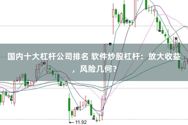 国内十大杠杆公司排名 软件炒股杠杆：放大收益，风险几何？
