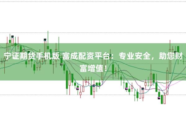 宁证期货手机版 富成配资平台：专业安全，助您财富增值！