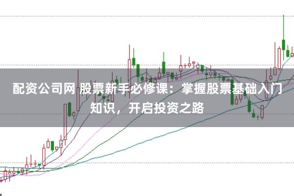 配资公司网 股票新手必修课：掌握股票基础入门知识，开启投资之路