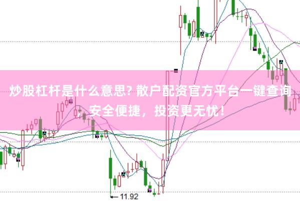 炒股杠杆是什么意思? 散户配资官方平台一键查询，安全便捷，投资更无忧！