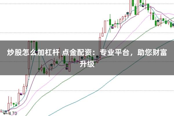 炒股怎么加杠杆 点金配资：专业平台，助您财富升级