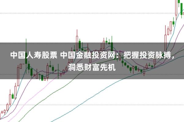 中国人寿股票 中国金融投资网：把握投资脉搏，洞悉财富先机