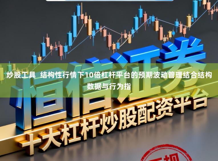 炒股工具  结构性行情下10倍杠杆平台的预期波动管理结合结构数据与行为指